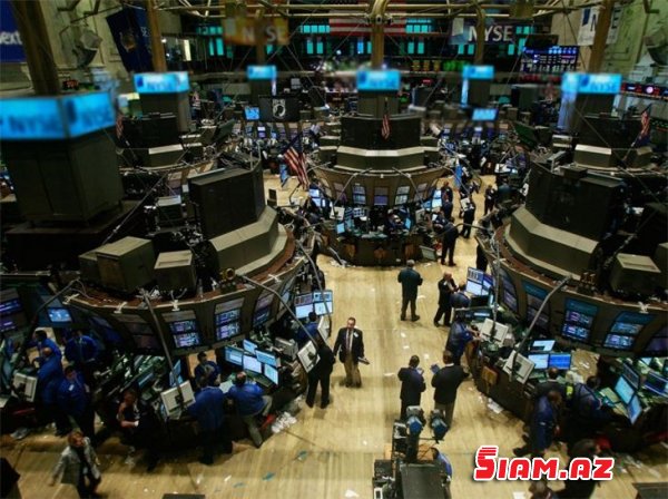 Moskvada yaşayan itbaz azərbaycanlı ekstrasens – Zirəddin Rzayev kimdir? Moskvada yaşayan itbaz azərbaycanlı ekstrasens – Zirəddin Rzayev kimdir?