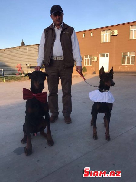 Mürtəza Bünyadlı yazır:"BİZ HARA GEDİRİK?.. Mürtəza Bünyadlı yazır:"BİZ HARA GEDİRİK?..