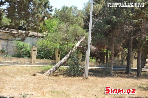 Milli Qəhramanın adını daşıyan parkda nə baş verir: şəhidin abidəsi uçub-dağılıb Milli Qəhramanın adını daşıyan parkda nə baş verir: şəhidin abidəsi uçub-dağılıb