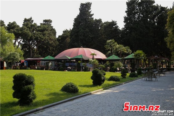 Bulvar ərazisində yenə "sadə çay" problemi: "Hər ay 1500 manat icarə pulu veririk" - REPORTAJ, FOTOLAR Bulvar ərazisində yenə "sadə çay" problemi: "Hər ay 1500 manat icarə pulu veririk" - REPORTAJ, FOTOLAR