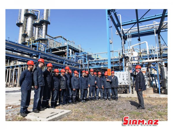 SOCAR 4 qəpiklik qazı bizə 20 qəpiyə satır: NİYƏ? SOCAR 4 qəpiklik qazı bizə 20 qəpiyə satır: NİYƏ?