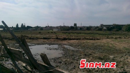 Keçmiş nazirin xalası oğlu narazılıq yaradır... - FOTOLAR Keçmiş nazirin xalası oğlu narazılıq yaradır... - FOTOLAR