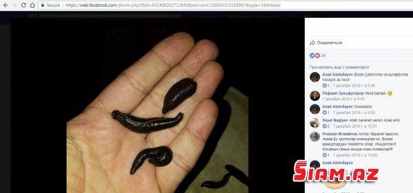 Bakıda gömrükçülər həbs edildi - aralarında deputatın qohumu da var Bakıda gömrükçülər həbs edildi - aralarında deputatın qohumu da var