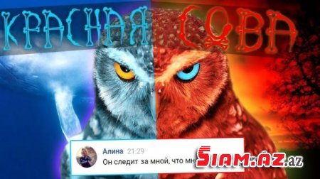 "Mavi balina"dan sonra "Qırmızı bayquş": uşaqları internetdən necə qorumalı... "Mavi balina"dan sonra "Qırmızı bayquş": uşaqları internetdən necə qorumalı...