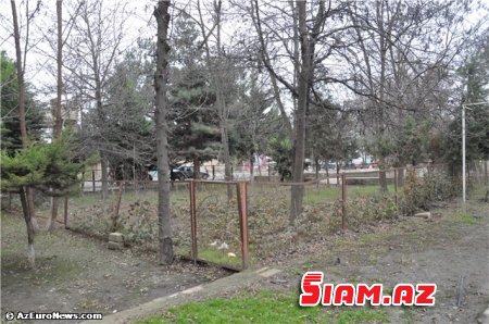 Xaçmazda məmur özbaşınalığı… – FOTOLAR Xaçmazda məmur özbaşınalığı… – FOTOLAR