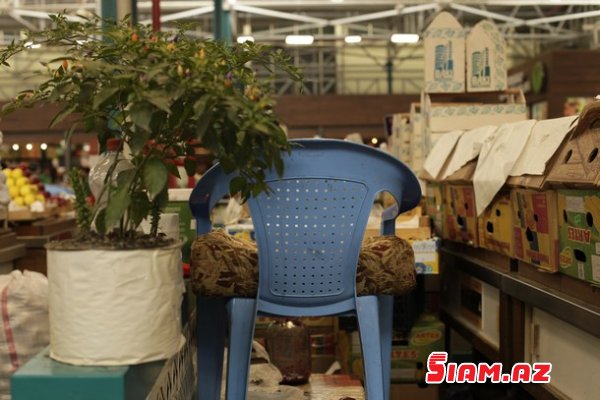 Domino oynayan satıcılar, 50 qəpiyə sarımsaq, 20 manata qoz... (REPORTAJ) Domino oynayan satıcılar, 50 qəpiyə sarımsaq, 20 manata qoz... (REPORTAJ)